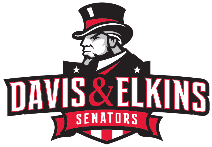 D&E Senators logo large