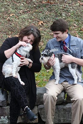 Student vets with dogs