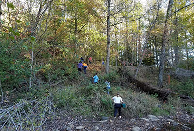 Students in the forest