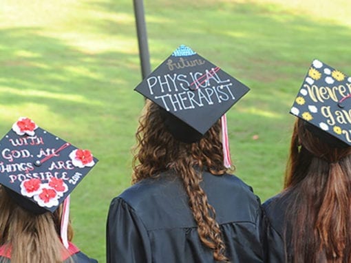 Back of a cap at graduation