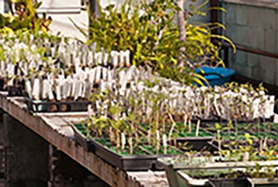 biology_facilities5 Test Tubes