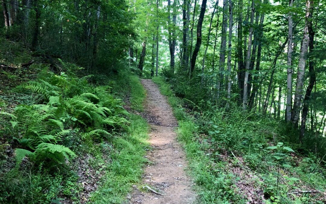 D&E Receives Grant for Trail Construction