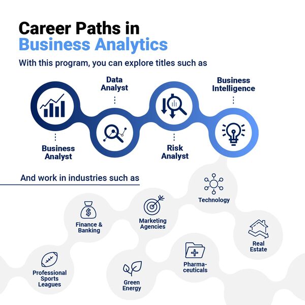 Career paths in BA graphic Career paths in BA graphic