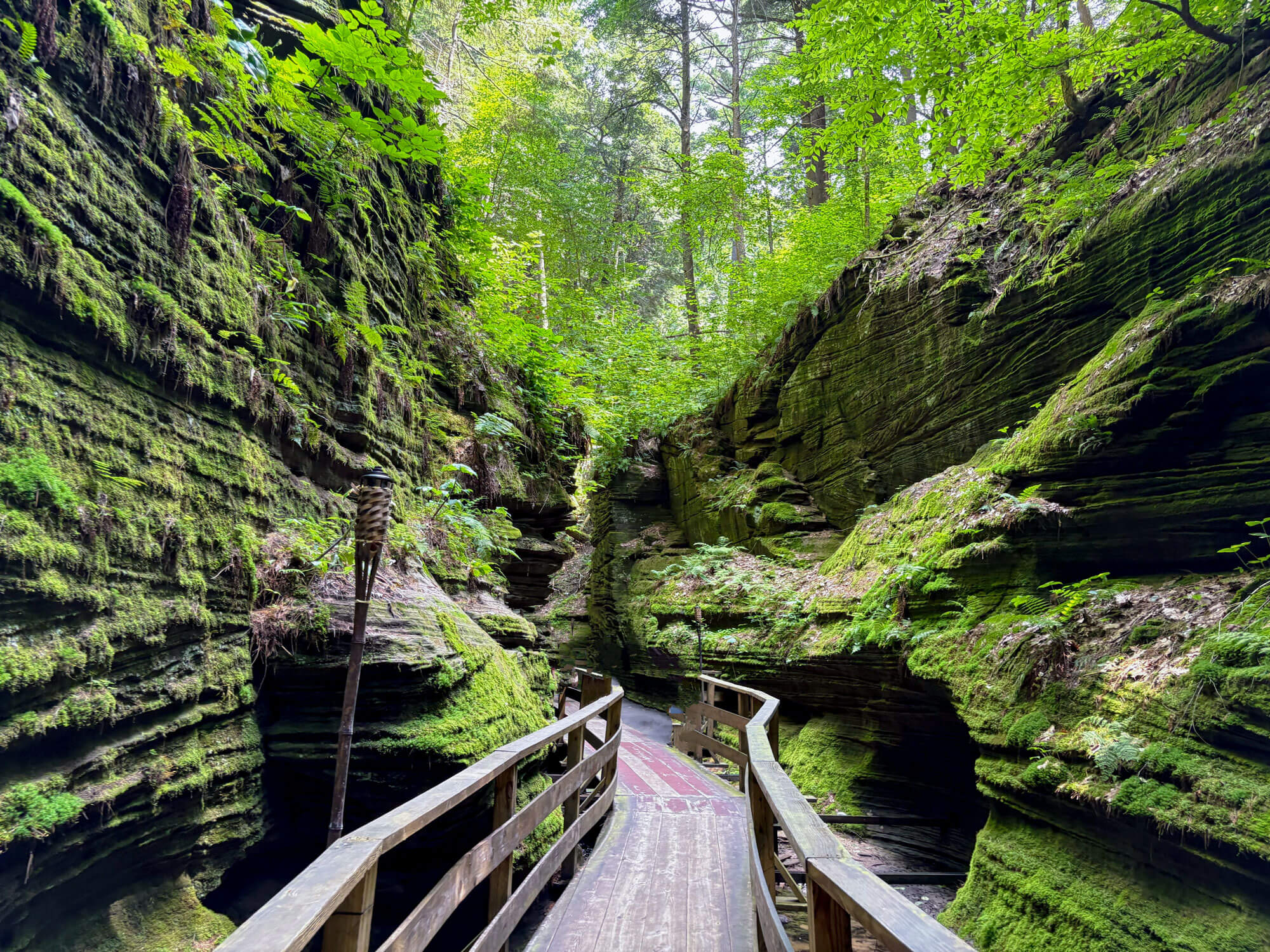 A forest path with a bridge through some rock outcroppings. Heaven, as it were.