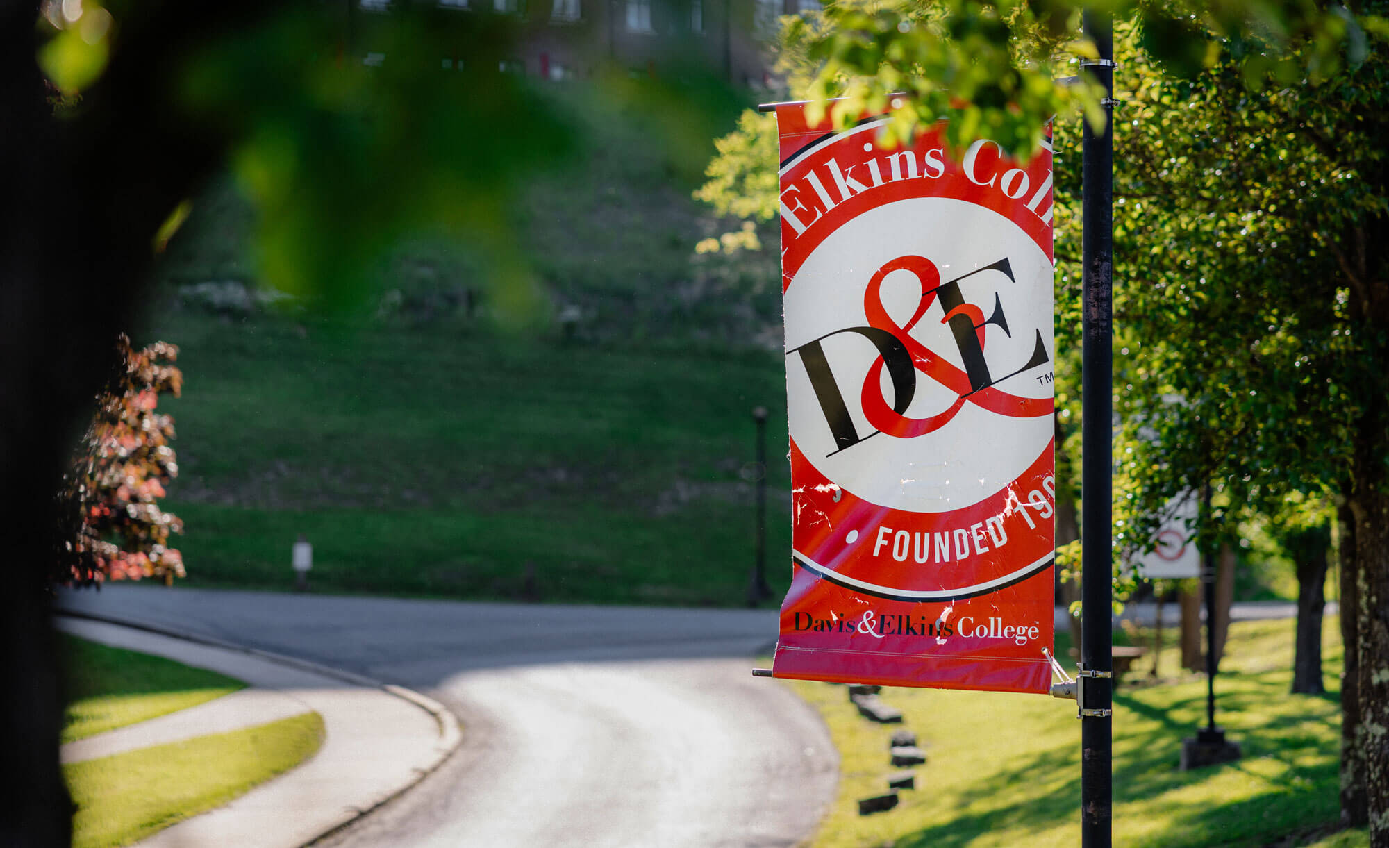 D&E Banner