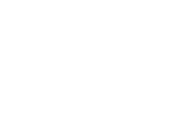 Booz Allen