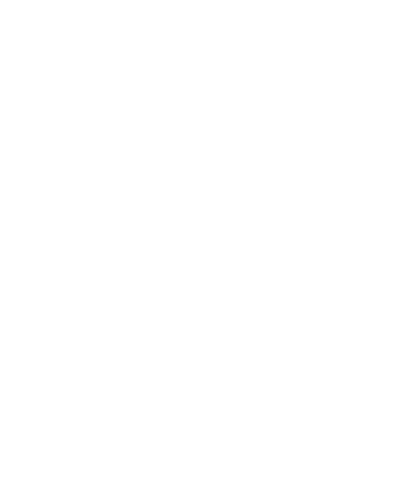 UPS Foundation