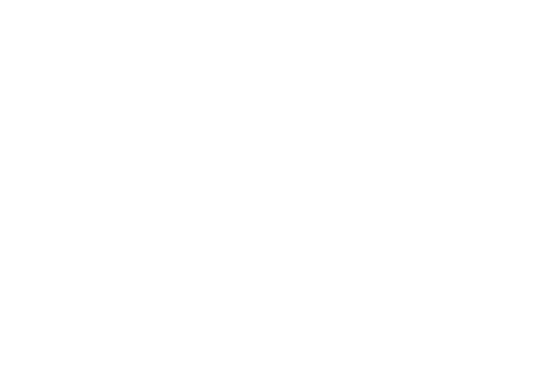 Verizon Foundation