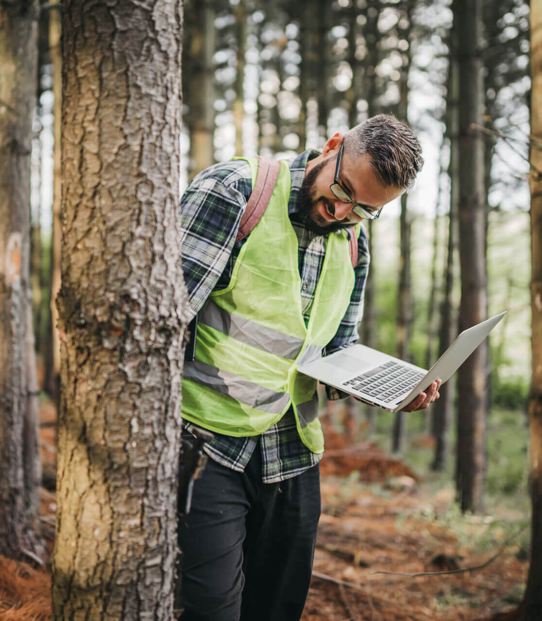Forestry student examining a tree