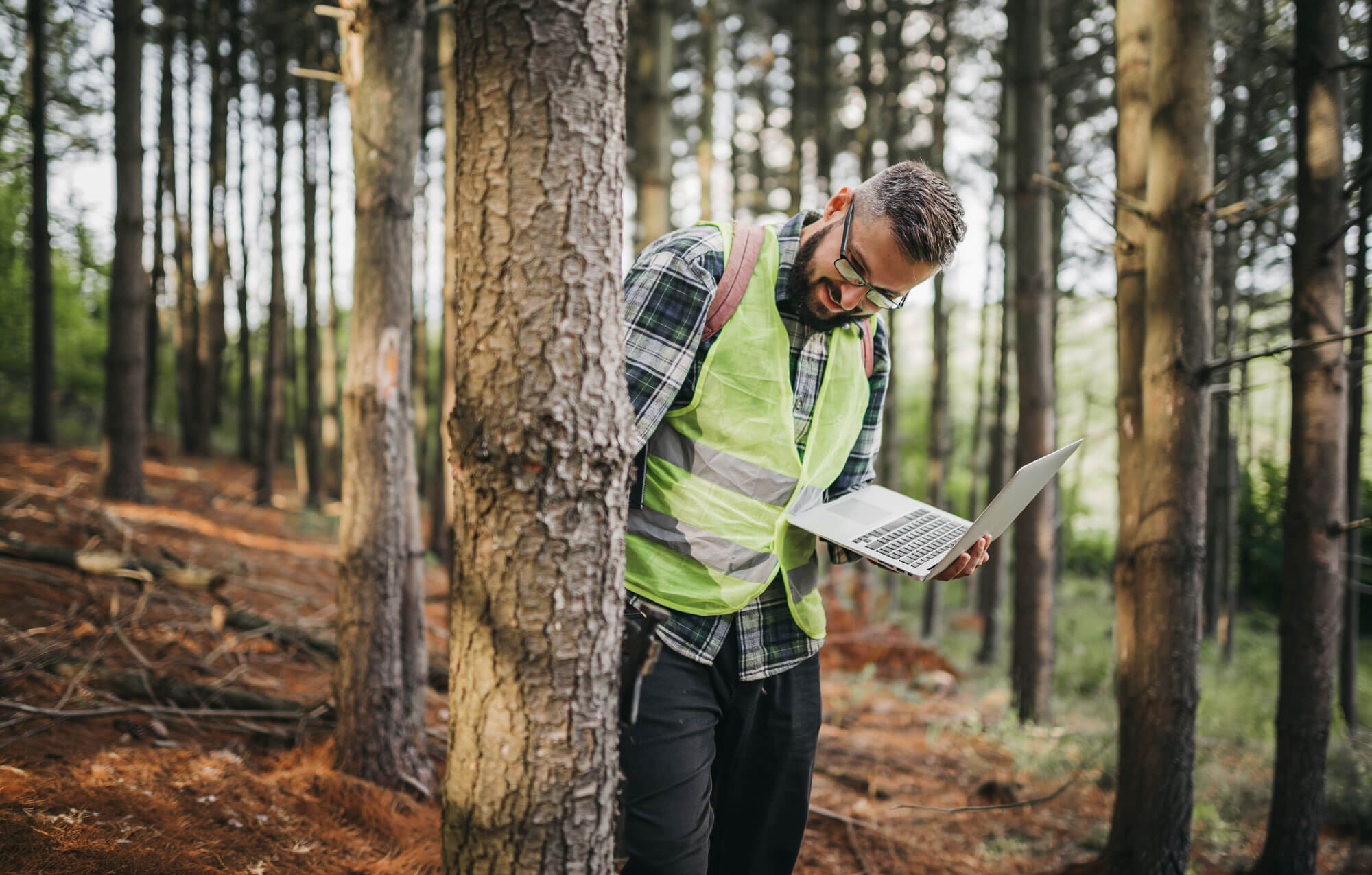 Forestry